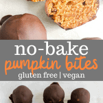 no bake pumpkin bites