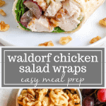 waldorf chicken salad wraps
