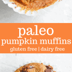 paleo pumpkin muffins