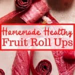 homemade healthy fruit roll ups