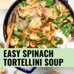 easy spinach tortellini soup