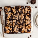 starbucks oat fudge bars