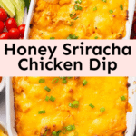 Honey Sriracha Chicken Dip