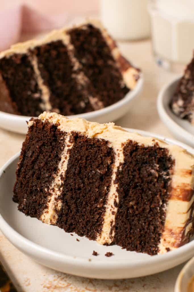 chocolate peanut butter cake slice