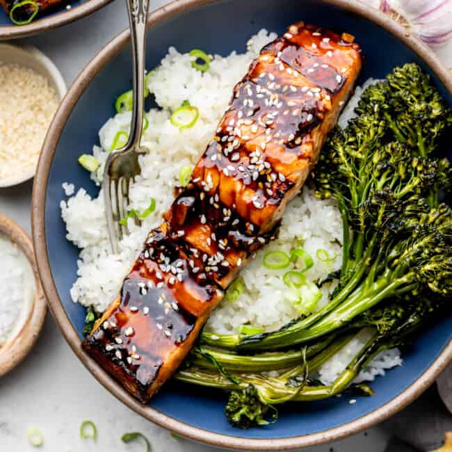 grilled terriyaki salmon in bowl with fork