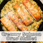 creamy salmon orzo skillet