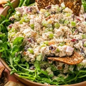 Fall Chicken Salad