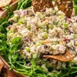 fall chicken salad in bowl