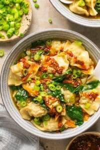 Easy Wonton Soup