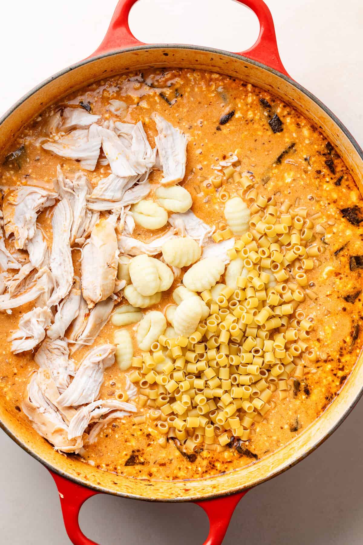 Chicken, gnocchi and pasta in large dutch oven