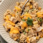 One Pot Cheesy Chicken Zucchini Rice on plate