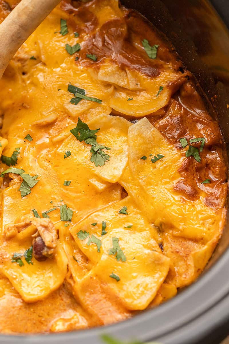 Slow Cooker Chicken Enchilada Casserole