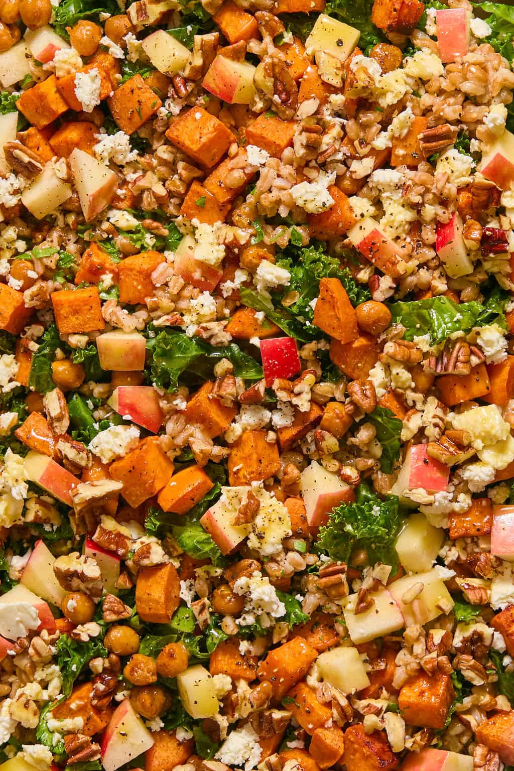 Close-up of a kale salad with roasted sweet potato cubes, chickpeas, farro, diced apple, crumbled feta, and chopped pecans.